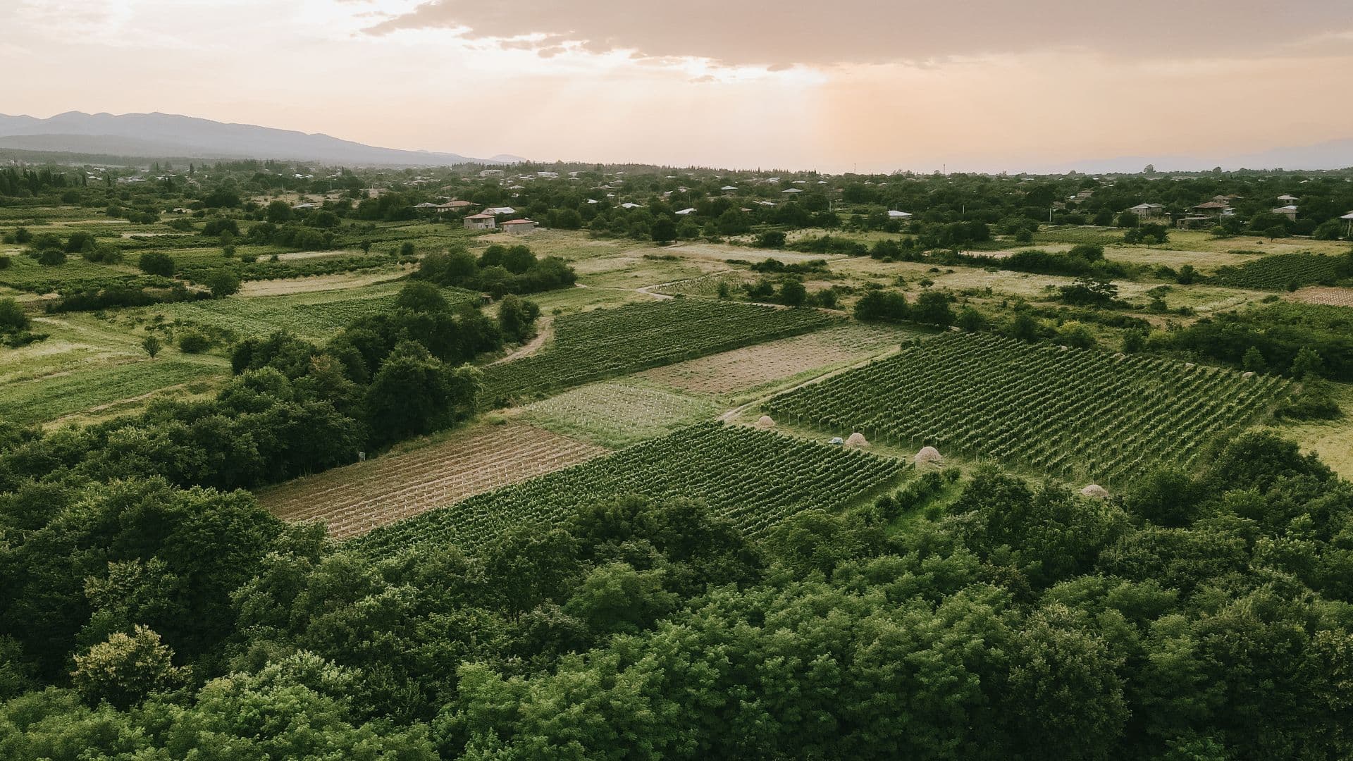 Havadan görüntülenen arazi ve harita çalışması